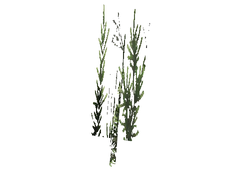 cs3_08f_props_veg20_35_lod, a GTA V map model