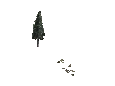 cs3_08f_props_veg20_38_lod, a GTA V map model