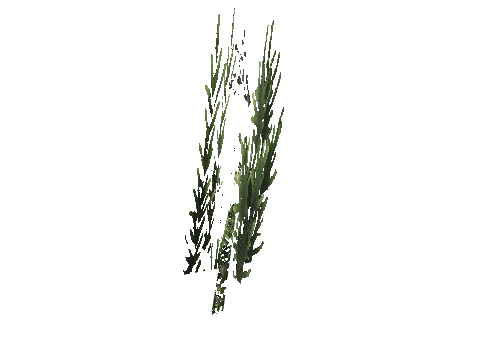 cs3_08f_props_veg24_13_lod, a GTA V map model