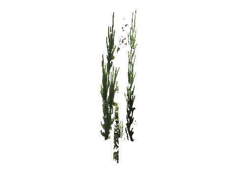 cs3_08f_props_veg25_36_lod, a GTA V map model