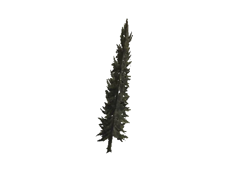 cs3_08f_props_veg25_38_lod, a GTA V map model
