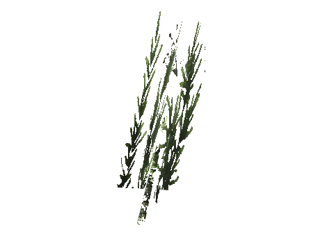 cs3_08f_props_veg26_40_lod, a GTA V map model