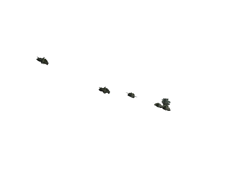 cs3_08f_props_veg27_14_lod, a GTA V map model