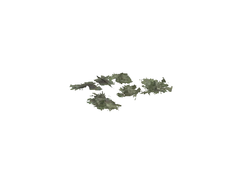 cs3_08g_props_veg17_06_lod, a GTA V map model