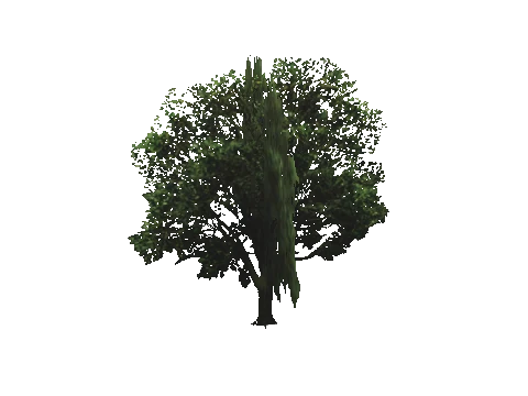 cs3_08g_props_veg23_11_lod, a GTA V map model