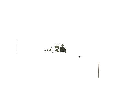 cs4_01_props_veg05_11_lod, a GTA V map model
