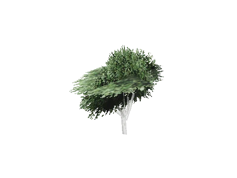 cs4_01_props_veg09_24_lod, a GTA V map model
