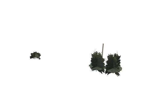 cs4_01_props_veg12_08_lod, a GTA V map model