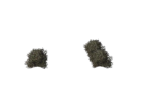 cs4_03_props_veg15_03_lod, a GTA V map model