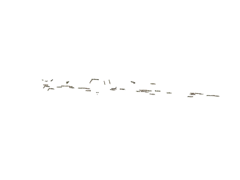 cs4_06_weeds3, a GTA V map model
