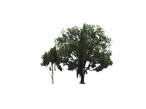 cs4_13_props_veg27_26_lod, a GTA V map model