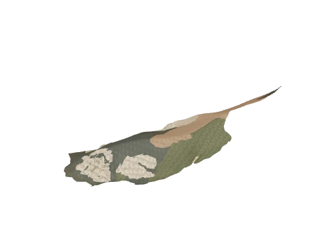 cs5_1_land_17_lod, a GTA V map model