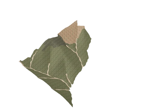 cs5_1_land_20b, a GTA V map model