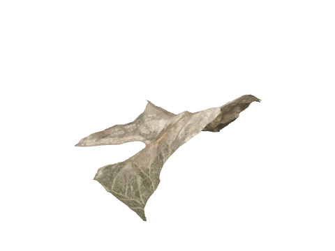 cs5_1_slodbase_06, a GTA V map model