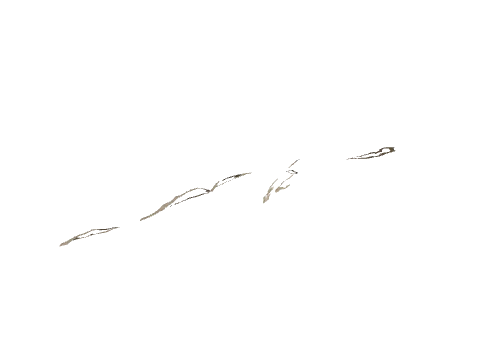 cs5_2_land029_d, a GTA V map model