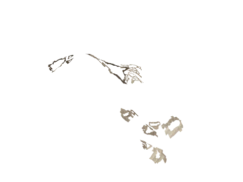 cs5_2_land21_d, a GTA V map model