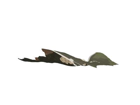 cs5_2_land27b, a GTA V map model