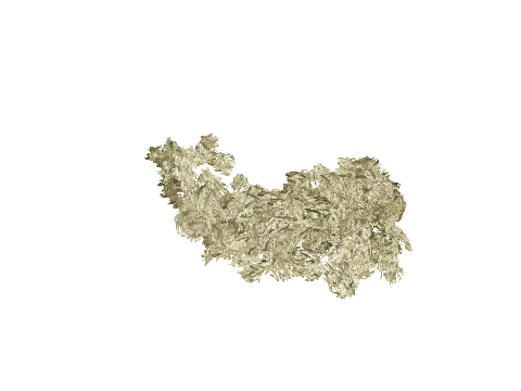 cs5_3_seaweed04, a GTA V map model