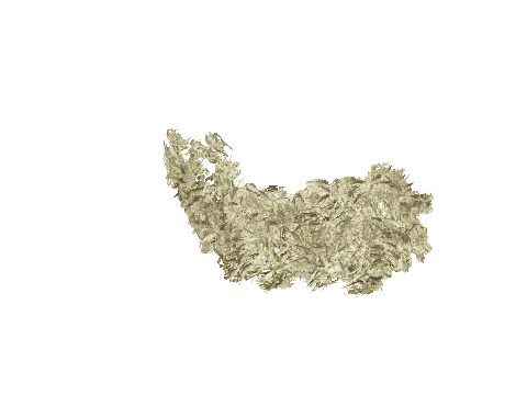 cs5_3_seaweed06, a GTA V map model