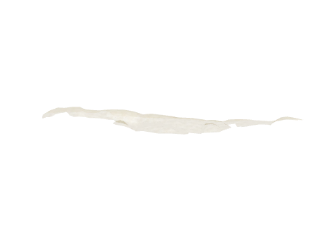cs5_4_qryter4_wire, a GTA V map model
