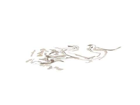 cs6_02_mxtlnd_01d, a GTA V map model