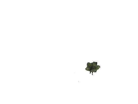 cs6_02_props_veg04_slod, a GTA V map model