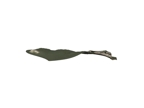cs6_08_land_01_lod, a GTA V map model