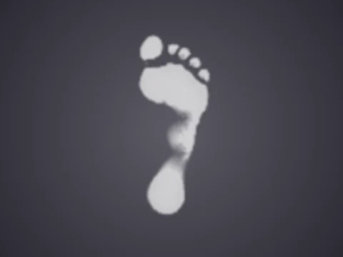 decal 2170, a GTA V damage pack or decal