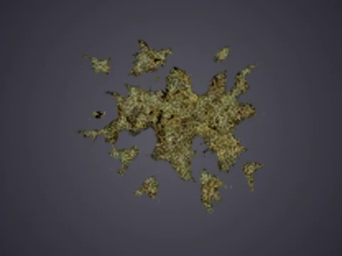 decal 4201, a GTA V damage pack or decal