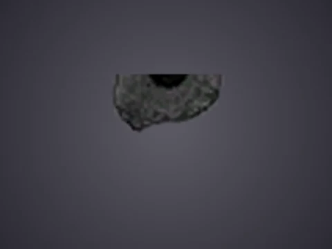 decal 9997, a GTA V damage pack or decal