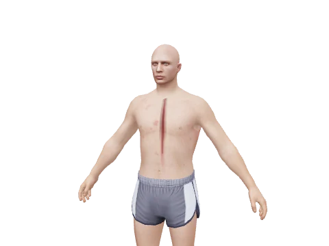 TD_SHOTGUN_REAR_KILL, a GTA V damage pack or decal