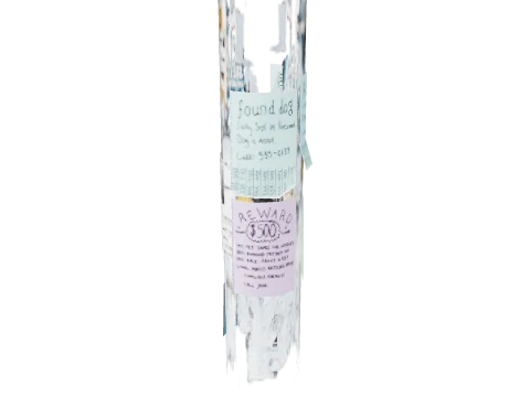 dt1_props_flyers_5_003, a GTA V map model