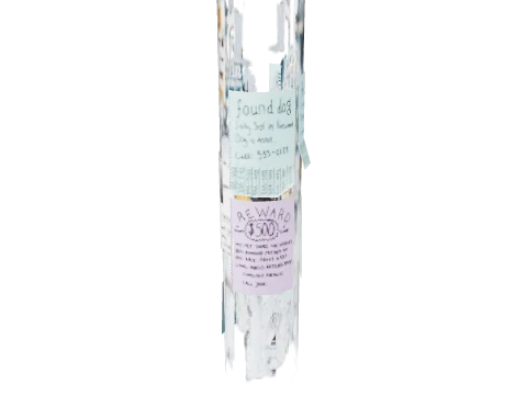 dt1_props_flyers_5_005, a GTA V map model