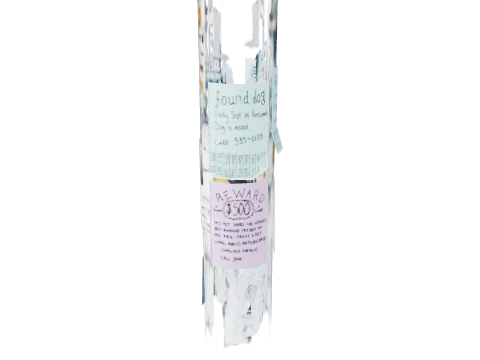dt1_props_flyers_5_007, a GTA V map model