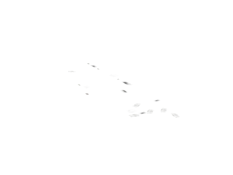 dt1_rd1_r1_ovly_04, a GTA V map model