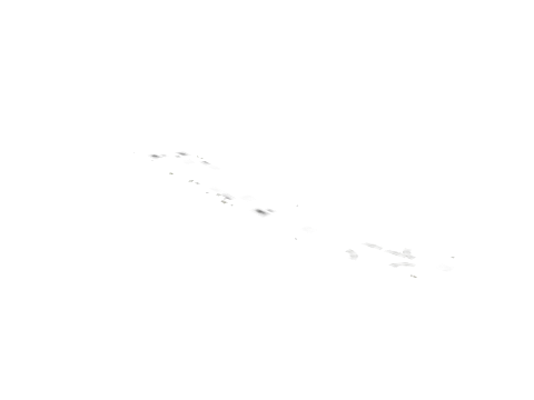 dt1_rd1_r1_ovly_05, a GTA V map model