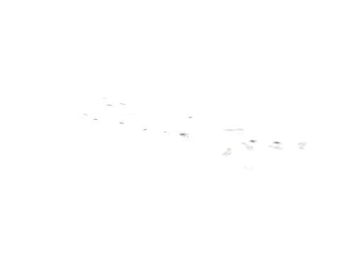 dt1_rd1_r1_ovly_08, a GTA V map model
