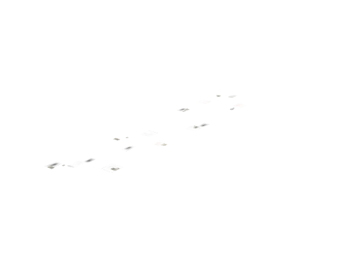 dt1_rd1_r1_ovly_33, a GTA V map model