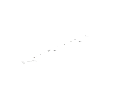 dt1_rd1_r1_ovly_42, a GTA V map model