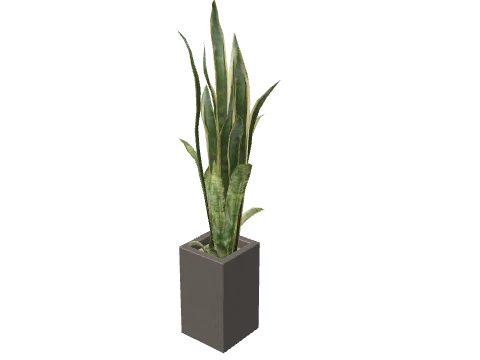 ex_office01c_plant06, a GTA V map model