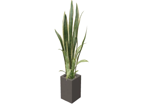 ex_office_01a_plant03, a GTA V map model