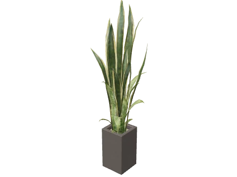 ex_office_01a_plant05, a GTA V map model