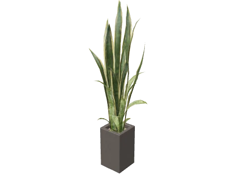ex_office_01a_plant06, a GTA V map model