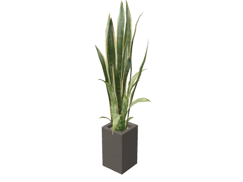 ex_office_02a_plantsbed, a GTA V map model