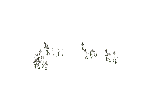 fwy_01_weed_01, a GTA V map model