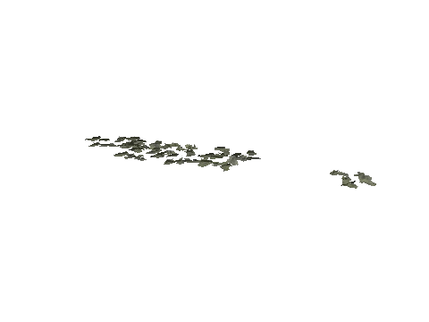 h4_mph4_airp_veg_12_01_lod, a GTA V map model