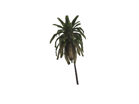 h4_mph4_airp_veg_14_06_lod, a GTA V map model