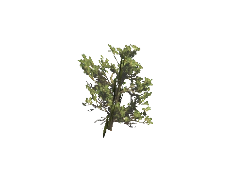 h4_mph4_airp_veg_16_slod, a GTA V map model