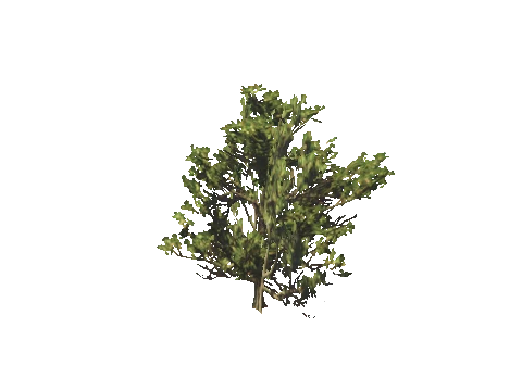 h4_mph4_airp_veg_17_48_lod, a GTA V map model