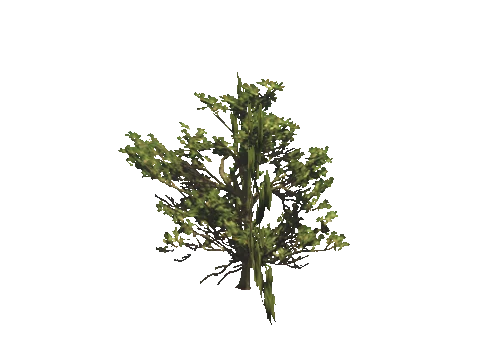 h4_mph4_airp_veg_19_05_lod, a GTA V map model